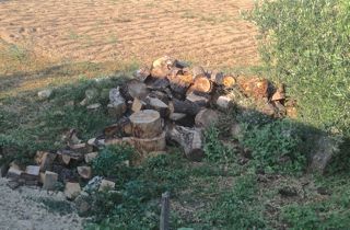 Fuelwood
