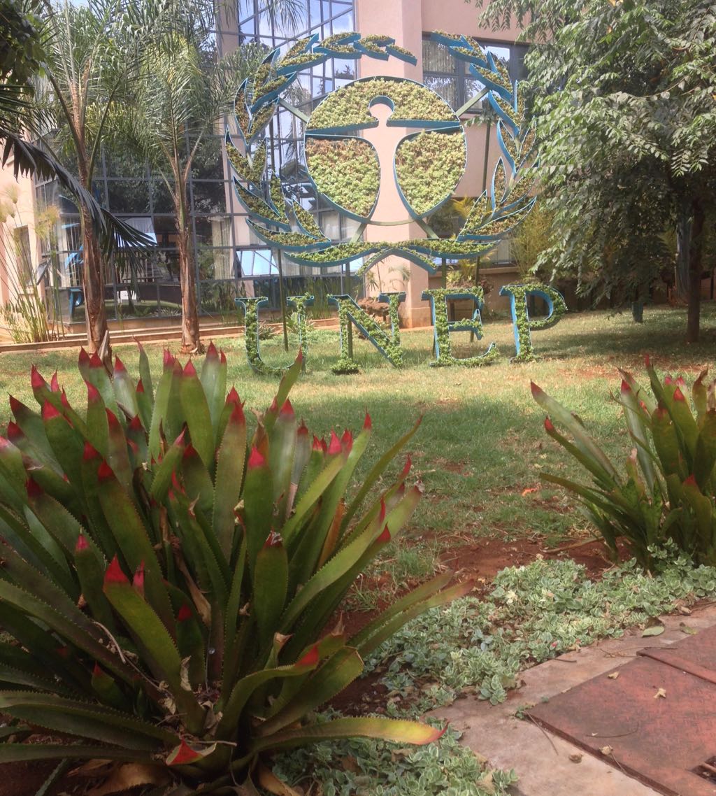 Photo 16-09-15 12 43 11