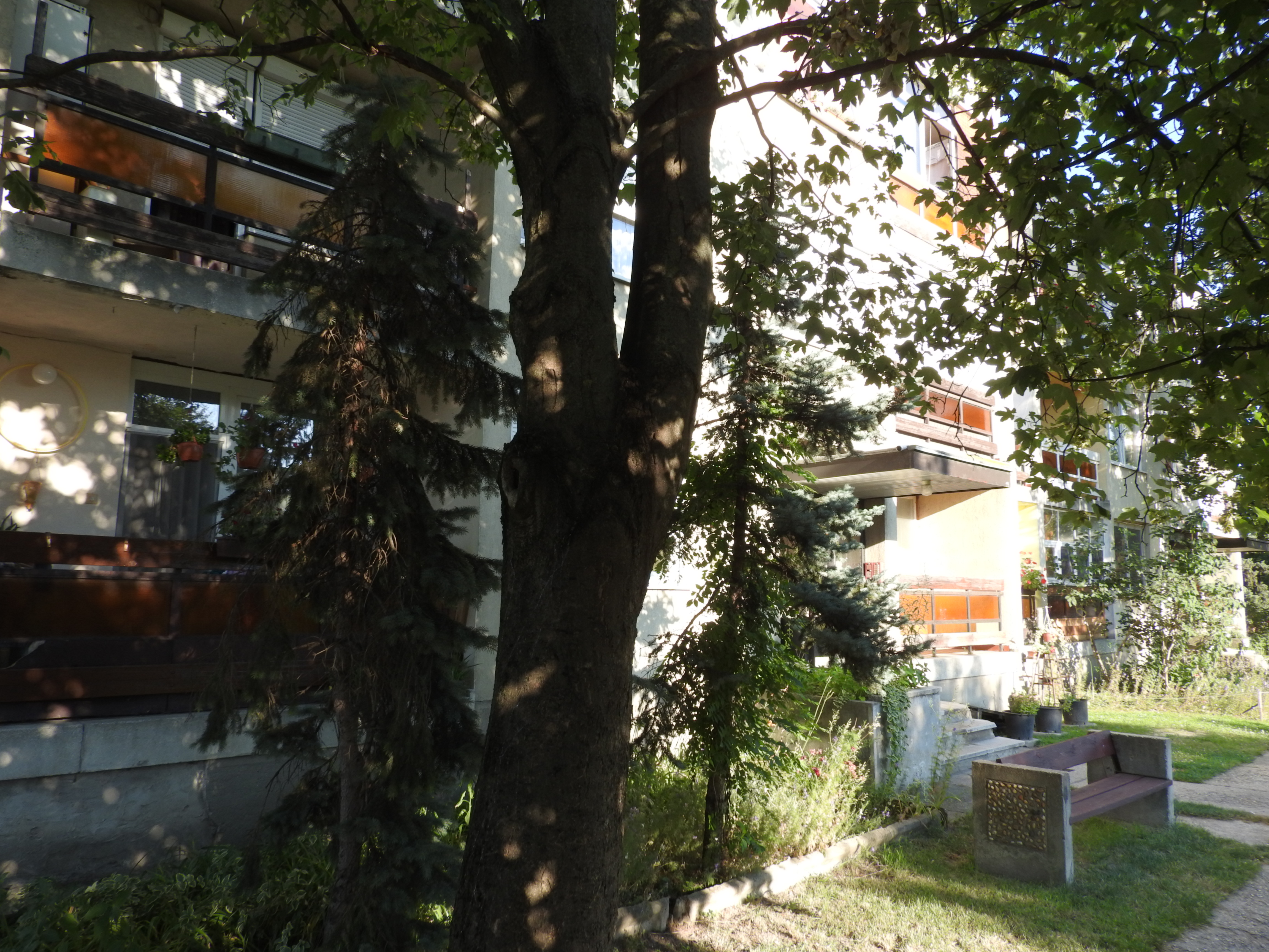 DSCN1695